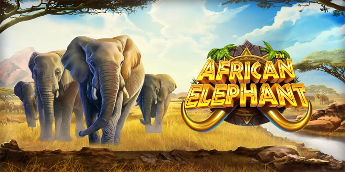 Rahasia Agar Bisa Menang Jackpot Bermain Slot African Elephant